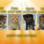HAPPY DAYS KITTENS – A1071062, A1071065, A1071066, A1071067
